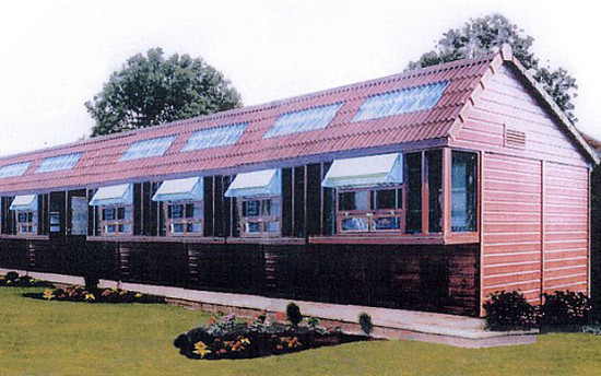 英女王花4万英镑为200只心爱赛鸽建“豪宅”(图)