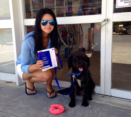 ���˹��������˱�̬ӢŮ��ѧ���������ؼ�����