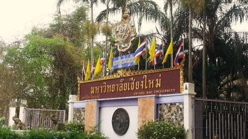 13���й��ο�ӿ��������ѧ��·����������Ͷ��