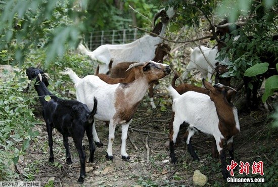 �ձ����С���ֻɽ�������ݡ�������ʡǮ��ͼ��