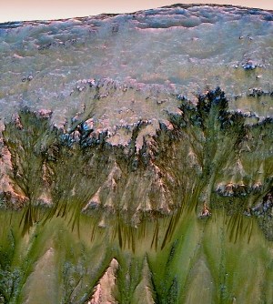 NASA卖关子引发网友臆测:难道找到了火星人?