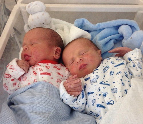 ����˫��̥������Ϭ�ܵܲ�Σ���Ϊ�������ͼ��