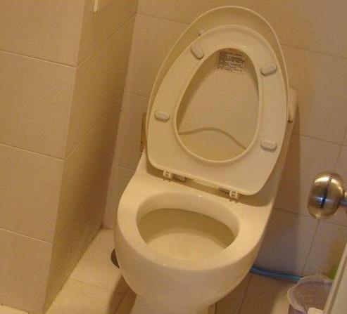 ���й��οͲȻ���Ͱ����԰ͼ�����ָ��