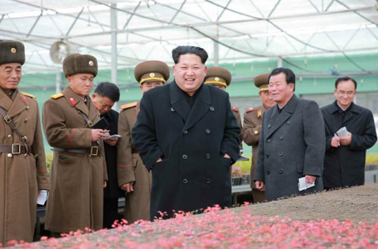 金正恩视察人民军苗圃要求实现集约化现代化(图)