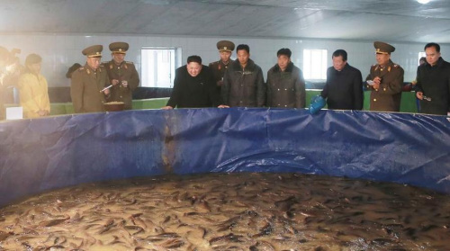 �������Ӳ쳯����Ȫ���㳧ָʾ��ǿ���ʼ�������