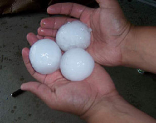 Ϥ���⺱�������籩��Ϯ��������߶�����ͼ��