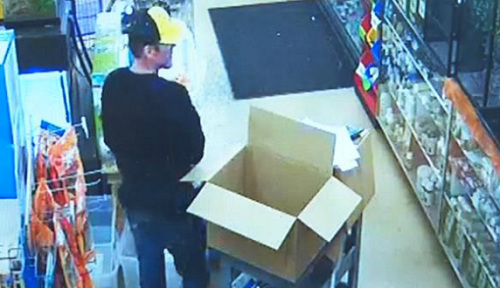 ��̫�����Ӱѳ������������������͵�ߣ�ͼ��