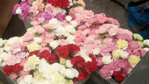 美国校园暖男打工一年半情人节前买花送全校女生