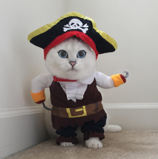 �����������ˡ����ˣ��۾�������ʯ�Ե����ѣ���ͼ��