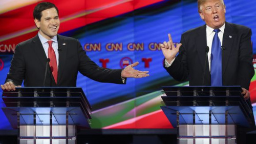 ��ý�����͵�������ѡ����ѡ�ն������������ս�