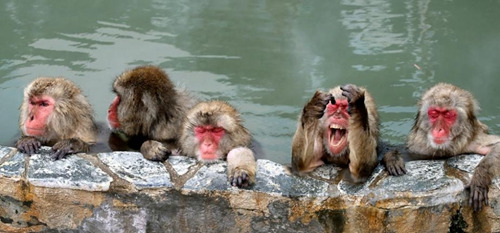 ���������ձ����ӻ��ϡ����񲡡������۹���֢