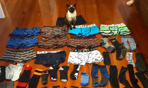 �������ˡ�ר͵��ʿ����������������Ѱʧ����ͼ��