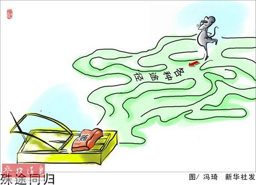 ��ý���й������������¸����������Ա������