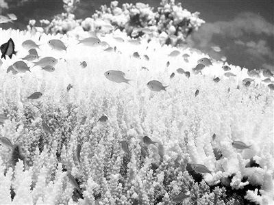 �����ա��ĵ����ݲ���������ȣ�ȫ��ؽ������