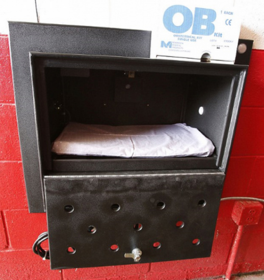 �������׸�����Ӥ�䡱���ɵ����¶��ܷ������ѣ�ͼ��