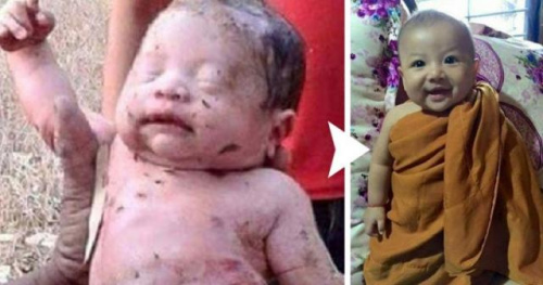 ����14�������»���̩�����漣�����������ˣ�ͼ��