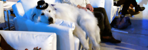 ����������������С��ѡ�񰮴�3�ȳɹ���ѡ