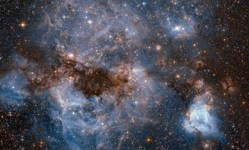 NASA��׽���桰�����硱�Ǽ����峾����������