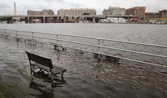 �����ů�º�ƽ�����������ذ������ǳ�Ƶ��