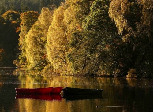 苏格兰秋色惹人醉:湖泊倒映多彩树林斑斓美丽
