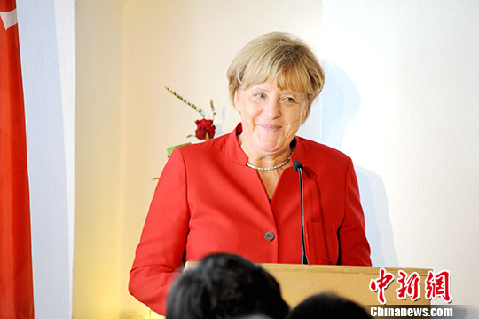 默克尔正式宣布寻求连任来年大选料将迎来苦战