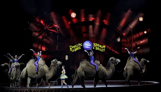 演出百余年美国“玲玲马戏团”今年5月将关门