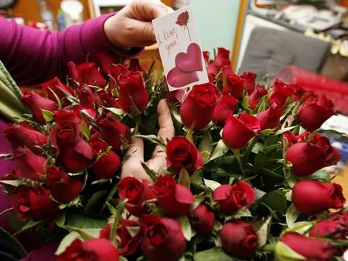 情人节将至忙坏美海关检查进口鲜花是否带害虫