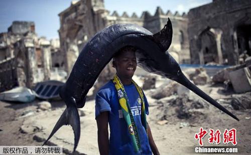 872斤剑鱼上钩了!钓鱼者花2小时钓到全球第二大剑鱼