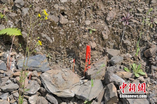 ��ͼ���ö��ӿڵ�����ַ��԰��¼������ȴ����ʹ��3��