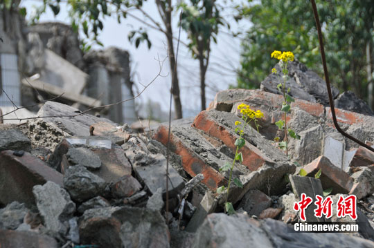 ��ͼ���߽��������س�����ʷ�����г�ʹ���죨5��