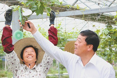 �����嵳ί�����̾����촬��ġ��ƶ��ˡ�
