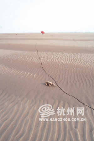 Ǯ�������ݶ�ˮλ����10��ͬ�ڽϵ�2/3�Ӵ���¶