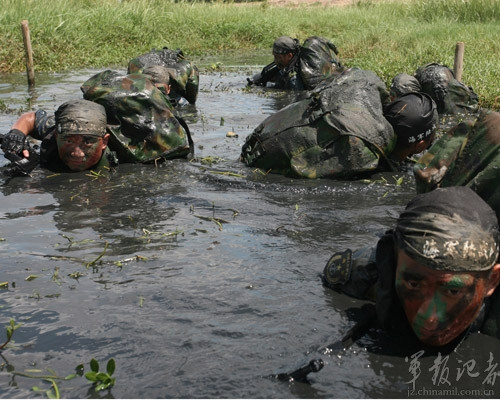 陆战猛虎特战训练正酣沼泽匍匐前进组图