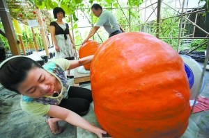 航天育种为中国人独创仅极少数优异者称太空种子