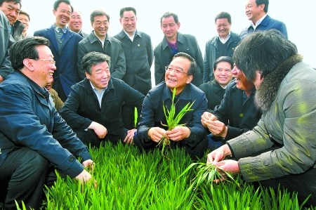 温家宝河南考察要求减少农资涨价对农民生产影响