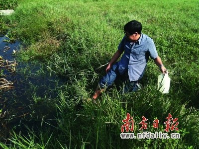 归国博士和退休官员联手修复“中毒”土壤(组图)