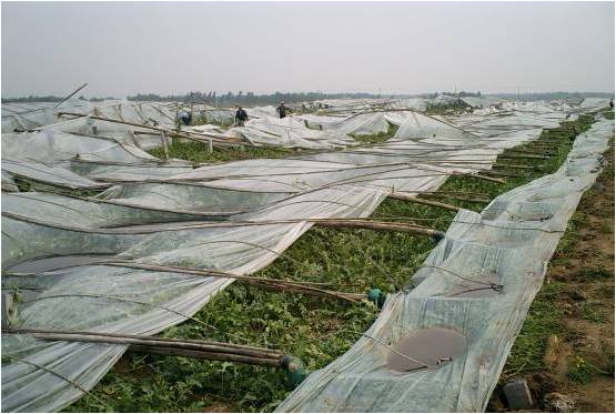 �ӱ����ɹŹ��ݸ�������ܷ籢�ֺ���ʧ����Ԫ