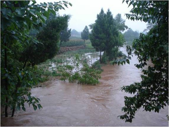 �Ĵ����ݸ����ຣ���ܺ����ֺ���ʧ��2.45��Ԫ