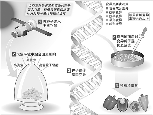 航天科技多方面回馈生活奥运火炬在珠峰峰顶点燃