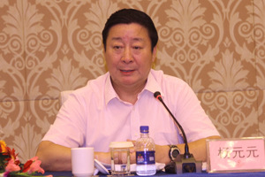 杨元元:加强基层安全执法能力建设遏制重特大事故