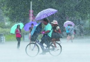 台风“启德”致广东百万居民遭遇停电