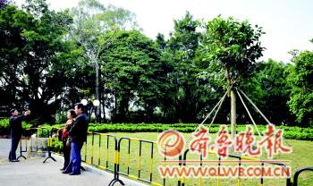习近平在深圳莲花山与市民互动管理员称像拉家常