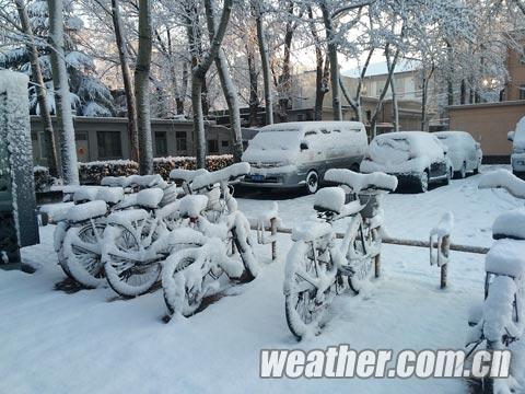 飞雪迎春袭北京京城今晨或现“堵城”