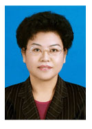 刘慧代理宁夏回族自治区人民政府主席(图/简历)