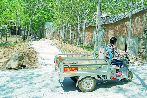 河南首例感染H7N9患者家乡探访:村内路边撒石灰