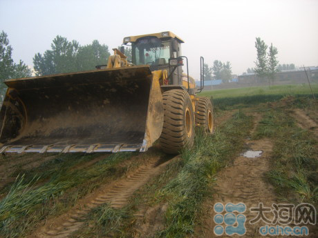 河南镇干部强毁麦田搞地产网友叹不能等麦收后