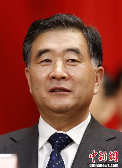 国务院调整抗震救灾指挥部组成人员汪洋任指挥长