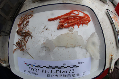 ����������������һǱ�״�ȡ���ٺ���Ʒ��ͼ��