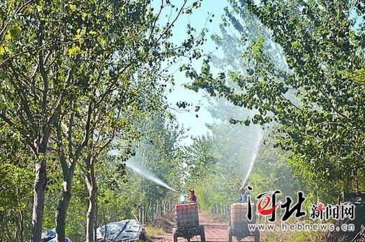 �ӱ�������ɱ�����׶������չ������׳��������