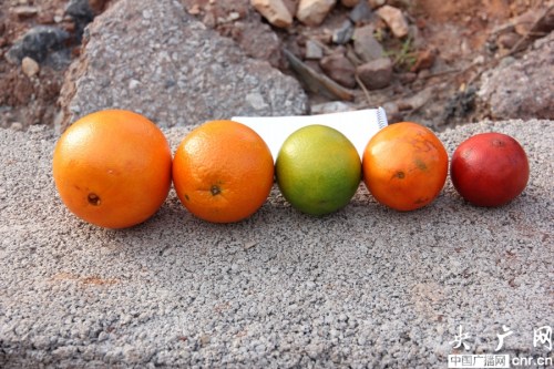 ���ָ�����ȼ���յ������Ⱦɫ�ɡ��й桱��ͼ��